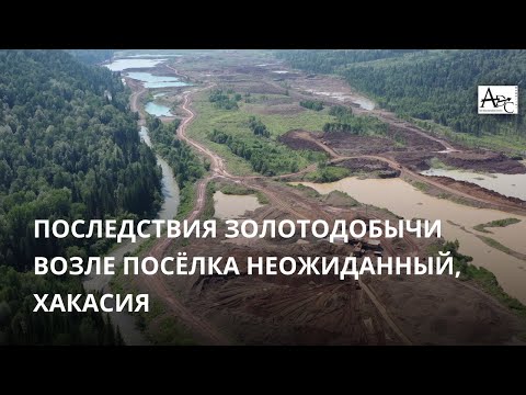 Видео: "Артель старателей Хакасия": последствия золотодобычи возле посёлка Неожиданный, Хакасия