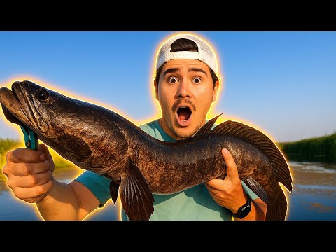 Видео: 11 июля 2025 г.