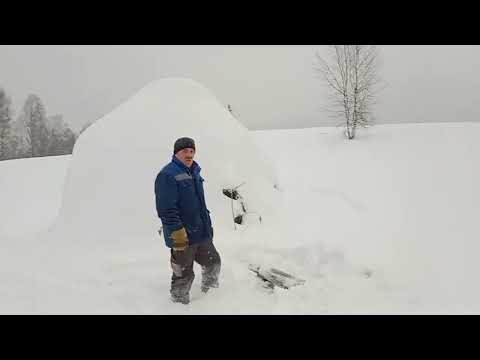 Видео: Продолжение перевозки сена. Мтз на ремонт. ДТ-75 в деле