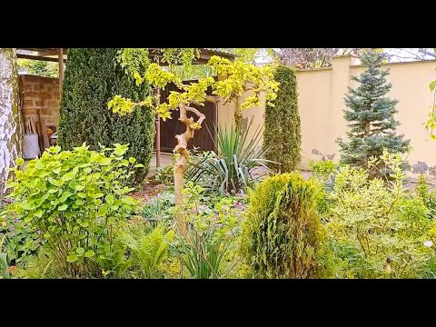 Видео: Красивый сад с изюминкой у наших соседей.