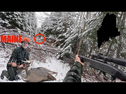 Видео: Отслеживание крупного оленя из штата Мэн до его лежбища