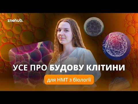 Видео: Усе про будову клітини для НМТ з біології