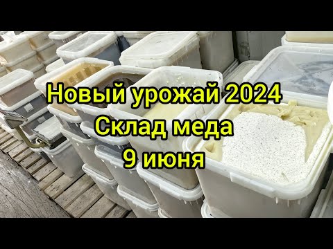 Видео: Новый урожай мёда 2024 в наличии.