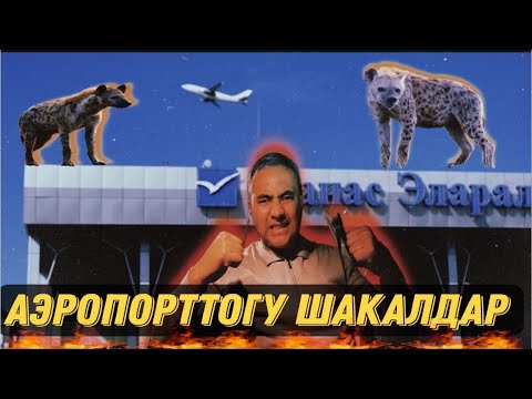 Видео: Яндекс такси Бишкек!Булар качан токтот далай адамды кууратты го. 