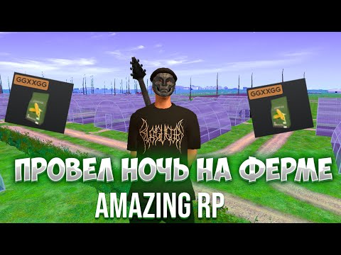 Видео: Я КЛОНИРОВАЛ СЕМЕНА НА AMAZING RP ЦЕЛУЮ НОЧЬ + гайд