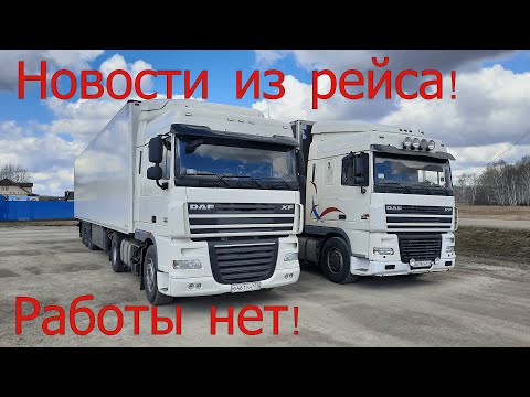 Видео: Новости из рейса! Работы нет! Даф XF 105.460 и Даф XF 95.430