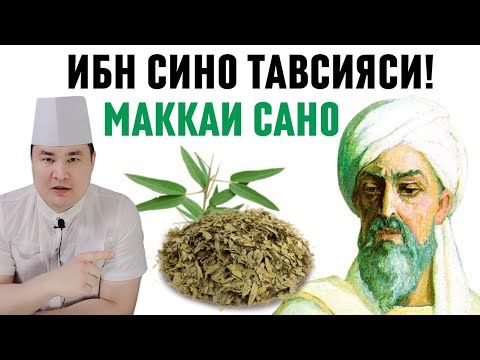 Видео: ИБН СИНО ТАВСИЯСИ! МАККАИ САНО ХАҚИДА ИСЧАНОВ