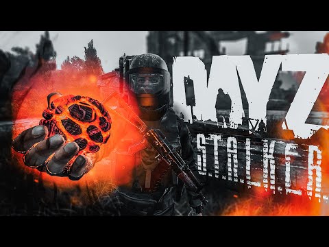 Видео: Самый богатый Сталкер - DayZ StalkerRP