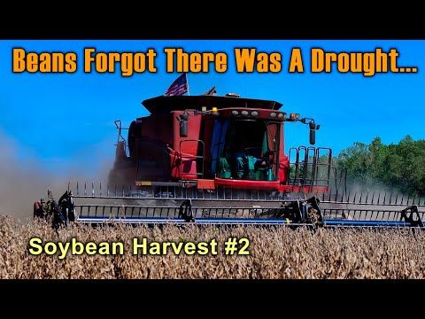 Видео: Почему комбайны CaseIH лучше, чем John Deere