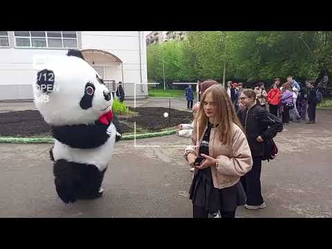 Видео: 21.05.2024г.✨✨✨Поздравление с днем рождения от Панды Степана!!!🐼🐼🐼🎉🎊🎁Поздравляем!!!🎁🎊🎉