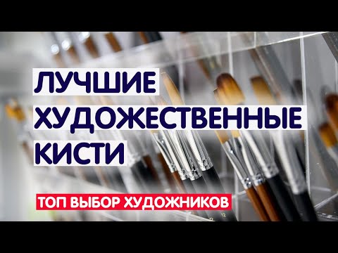 Видео: ТОП ЛУЧШИХ КИСТЕЙ ДЛЯ РИСОВАНИЯ / Кисти для акрила / Кисти для гуаши / Кисти для акварели