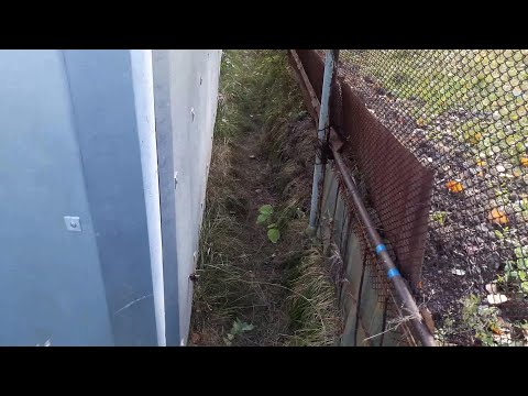 Видео: Немного о дренаже