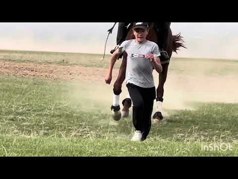 Видео: Ақтерек аламан байге 13/04/2025