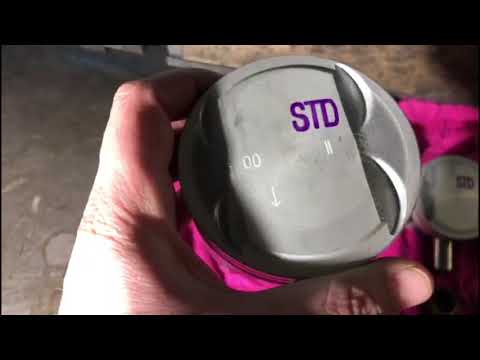 Видео: G4KD 2.0 Киа Спортейдж 3, Туссан, IX35 задиры и стук в двигателе!