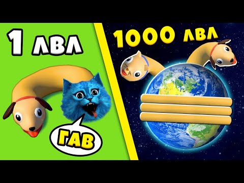 Видео: 😺 ЭВОЛЮЦИЯ ДЛИНЫ КОТОПСА 🐶 Максимальный Уровень Cats & Dogs 3D Noob vs Pro vs Hacker КОТЁНОК ЛАЙК