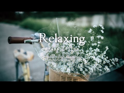 Видео: Спокойный день под нежные мелодии l GRASS COTTON+
