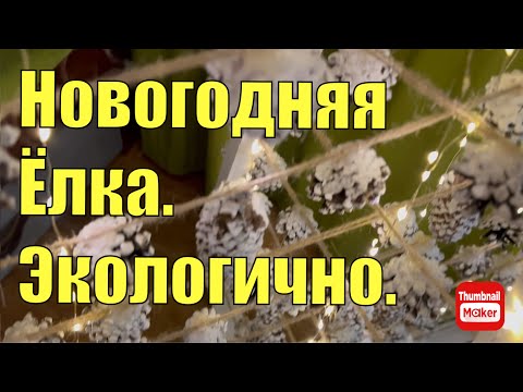 Видео: Новогодняя ёлка.экологично