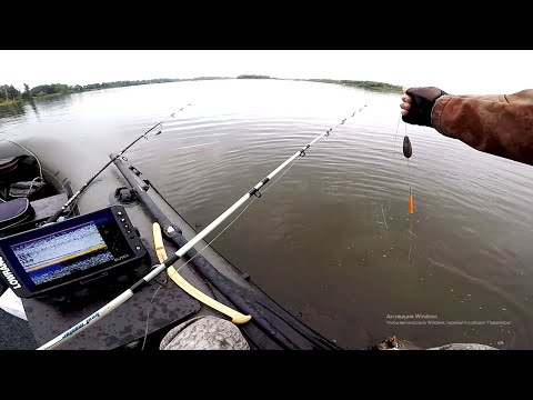 Видео: 14-15 градусов ВОДА. КЛЮЕТ ли СОМ на КВОК. Ловля сома на квок