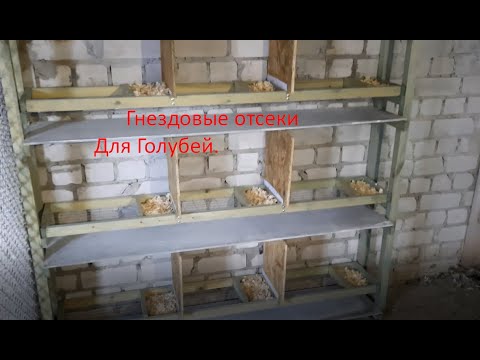 Видео: Гнездовые отсеки для голубей.