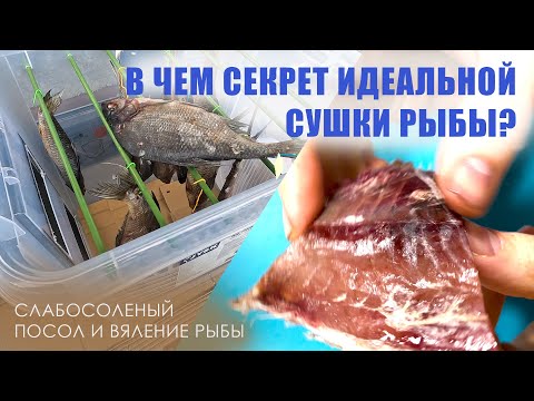 Видео: Сушка и посол рыбы / Есть ли идеальный рецепт изготовления сухой рыбы? / Лучший способ вяление рыбы