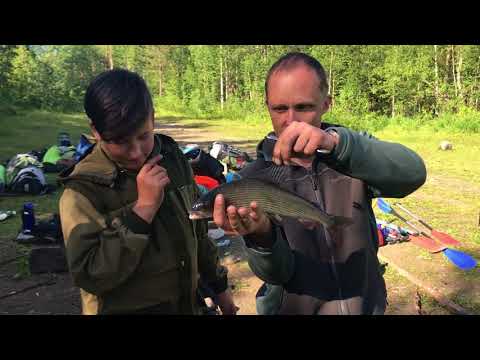 Видео: Кутсайоки. Мурман. Первая рыбалка - заброска