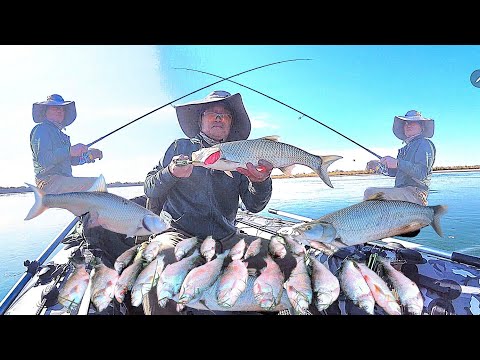 Видео: 🎣🎣ЖЕРЕХ ✨️✨️ИЛИ ✊️✊️👋👋