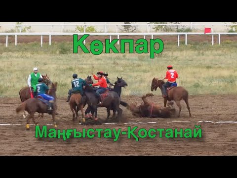 Видео: Көкпар. Маңғыстау-Қостанай