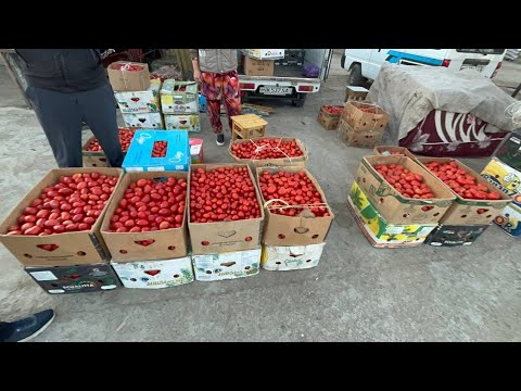 Видео: 25 СЕНТЯБРЬ ТУРТКУЛ ДЕХКОН БОЗОР НАРХЛАРИ