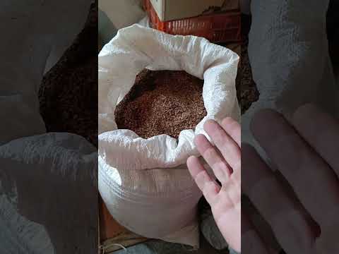 Видео: Замёрз Битлис, первый заморозок 30 сентября.