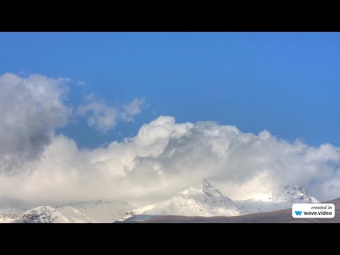 Видео: Фамилия Арютина: история, значимость и склонение - всё, что нужно знать о происхождении этой