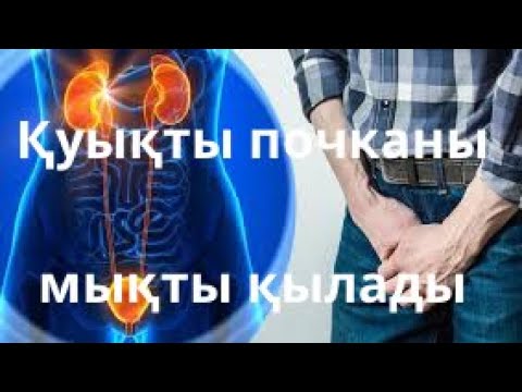 Видео: Қуық жолына, бүйрекке керемет жаттығу. Упражнения для мочевого пузыря и почек.