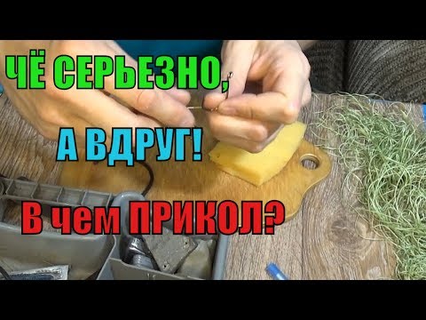 Видео: Ловля СОМА на ПРЕЗЕРВАТИВ/КОЗЬЕ МОЛОКО!МИФ или РЕАЛЬНОСТЬ?