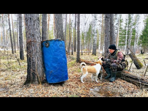 Видео: ЗАРЯДИЛИ ПРИВАДУ.ЖДЕМ МЕДВЕДЯ. РЫЖИЙ ПОПАЛ В КАПКАН. ИСПЫТАНИЕ НОВОГО ГЕНЕРАТОРА REDVERG.