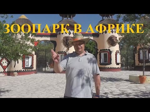 Видео: Зоопарк Фригия, Тунис, путешествие в огромный африканский ЗООПАРК ч 1/ Friguia Zoo, Tunisia