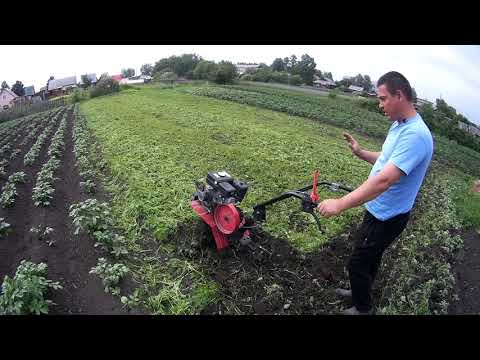 Видео: "ОКА" и "БРАЙТ",Я и Мишка.Запахиваем фацелию в землю.