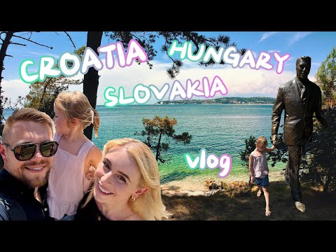 Видео: VLOG: Завтрак в Венгрии, обед - в Словакии, ужин в Польше/Инвалидная табличка открывает многие двери