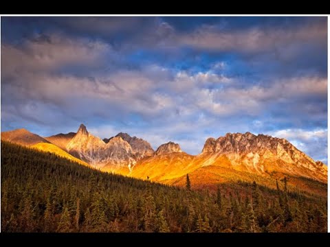 Видео: ПРОГНОЗ НА ОКТЯБРЬ- БАЦЗЫ -КЛЮЧЕВЫЕ АСПЕКТЫ МЕСЯЦА ОГНЕННОЙ СОБАКИ ДЛЯ  КАЖДОГО  ГОСПОДИНА  ДНЯ