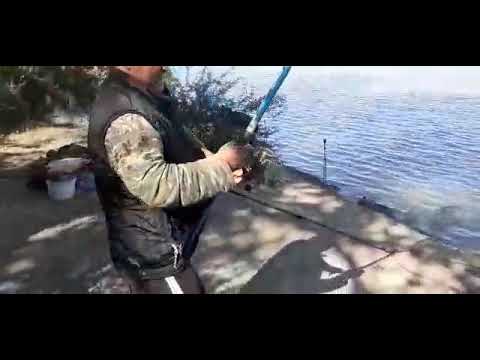 Видео: Рыбалка Сырдария