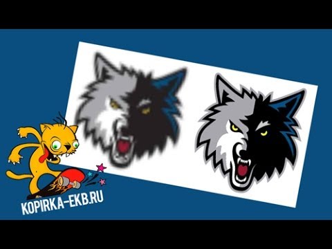Видео: Как отрисовать вектор по картинке в CorelDraw. Часть 1 | Видеоуроки kopirka-ekb.ru