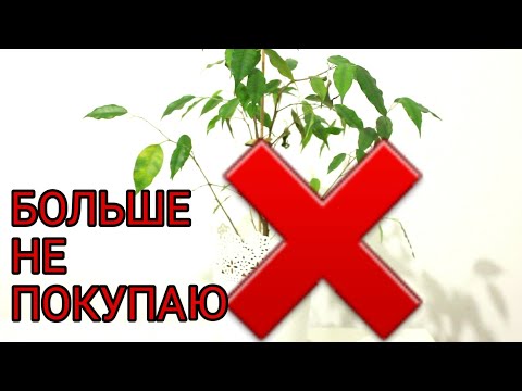 Видео: 10 ВЕЩЕЙ, ОТ КОТОРЫХ Я ОТКАЗАЛАСЬ и БОЛЬШЕ НЕ ПОКУПАЮ