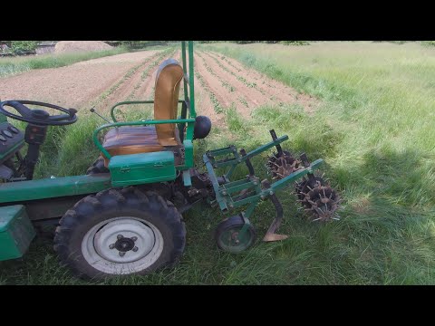 Видео: Третья прополка картошки «ежами». Высота гребней.