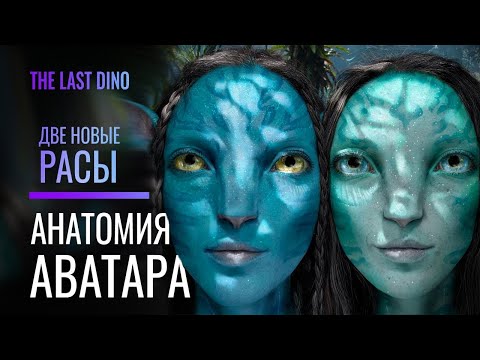 Видео: Биология Аватара  Разница между Оматикайя и Меткайина
