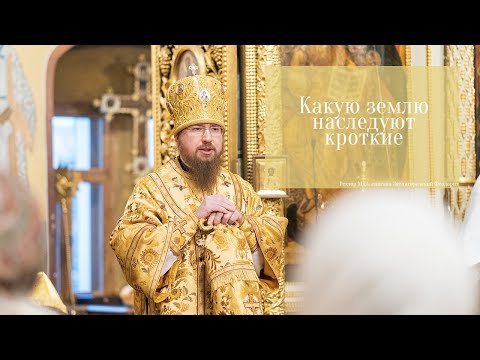 Видео: "Какую землю наследуют кроткие". Проповедь епископа Феодорита в день памяти Святителя Николая.