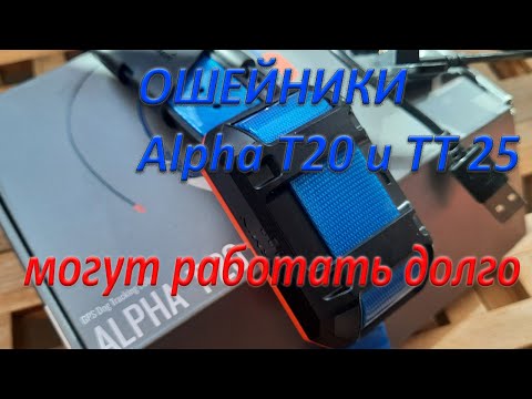 Видео: Garmin Alpha T20 и TT 25 - ошейники могут работать очень долго