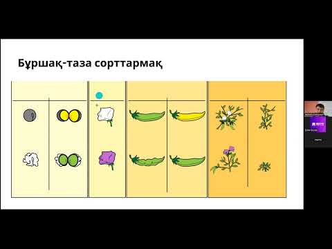 Видео: Мендель заңдары  Аллельді емес гендер