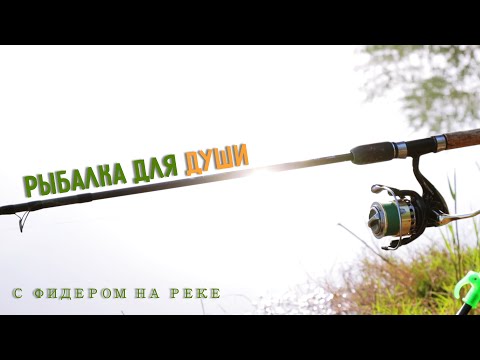 Видео: Порыбачил на Сырдарье! Красивее места нет! #фидер #рыбалкаУзбекистан