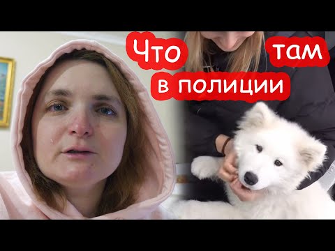 Видео: VLOG Не могу не плакать. Что сказала полиция