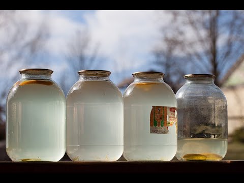 Видео: Как сохранить берёзовый сок/Простой но очень вкусный рецепт