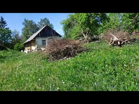 Видео: болталка,  зачем машина,  куда девать столько сыра,  ремонт машины затягивается