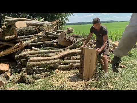 Видео: Так потрібно різати тонкі дрова💪💪💪